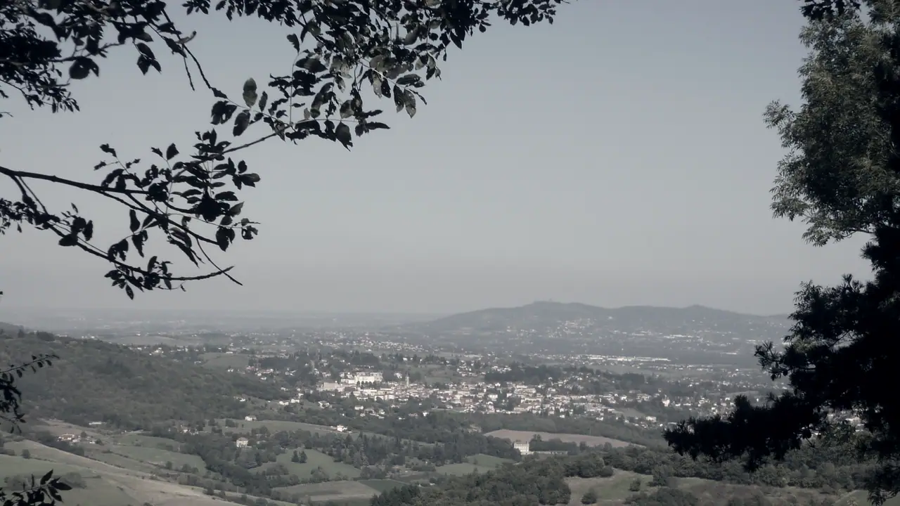 Vue encadrée par des branches, depuis un versant boisé, sur le bourg de Vaugneray au milieu des prés, avec la plaine et une ligne de collines à l'horizon.