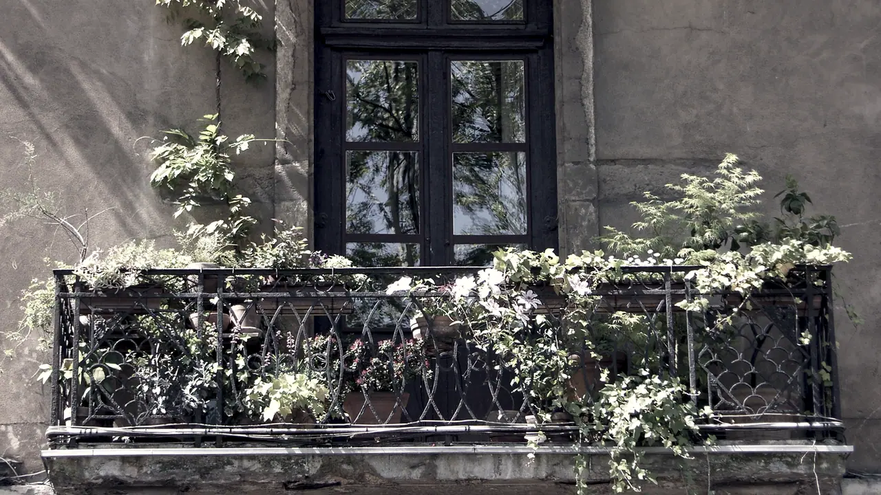 Balcon de fer forgé débordant de plantes en pots devant une porte-fenêtre à petits carreaux, sur une façade ancienne à l'enduit patiné.