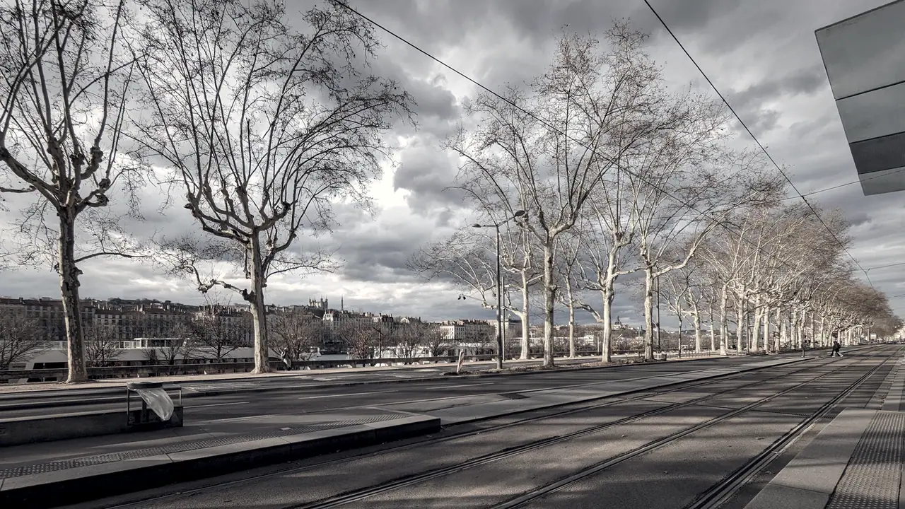 Quai bordé de platanes dénudés le long des rails d'un tramway, avec les immeubles de l'autre rive et, au loin, une colline surmontée d'une basilique, sous un ciel chargé.