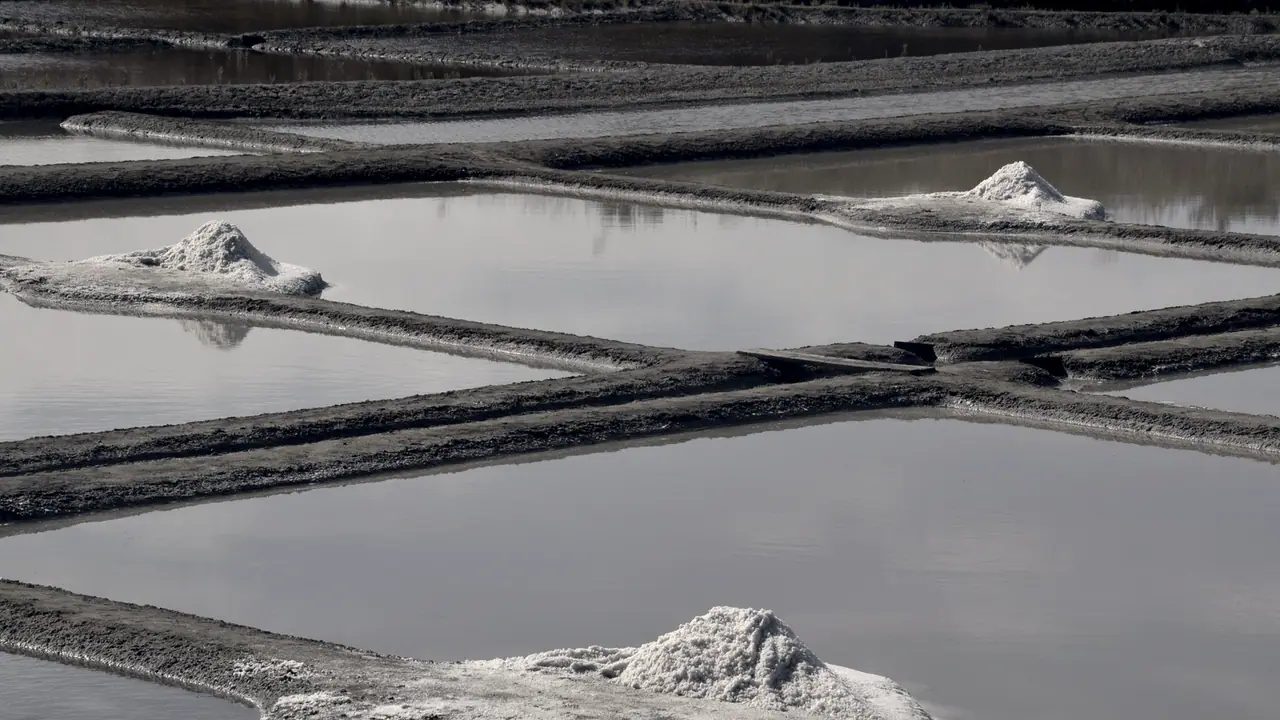 Œillets d'un marais salant séparés par des levées d'argile, avec trois petits tas de sel blanc posés sur les talus au bord de l'eau calme.