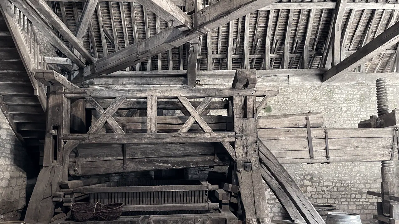 Grand pressoir à levier du XVe siècle sous la charpente d'un cellier : un bâti de poutres croisées, le long levier de bois qui court jusqu'à la vis et un panier d'osier.