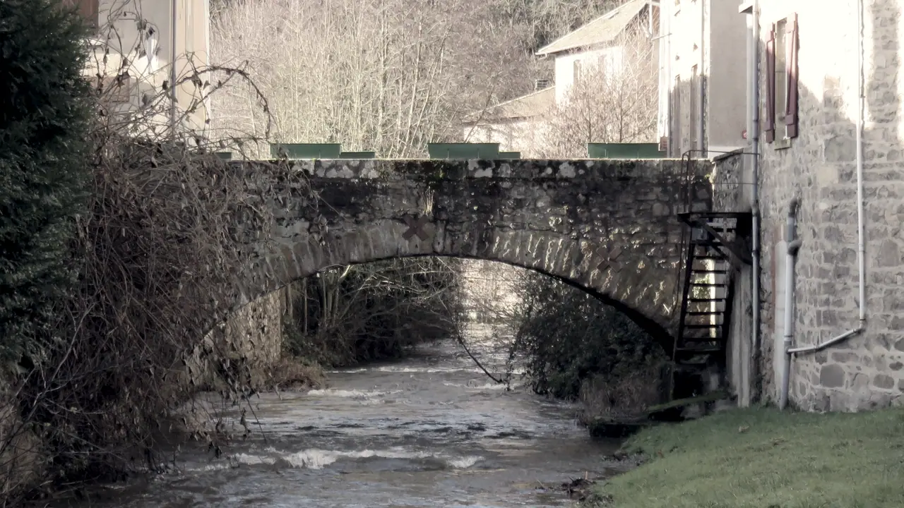 Vieux pont de pierre à une seule arche au-dessus d'une rivière vive, entre des arbustes nus et le mur d'une maison ancienne.