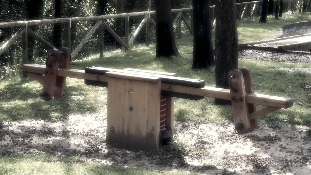 Balançoire à bascule en bois montée sur ressort dans un sous-bois, avec une poignée dressée à chaque extrémité et une barrière de rondins derrière elle.