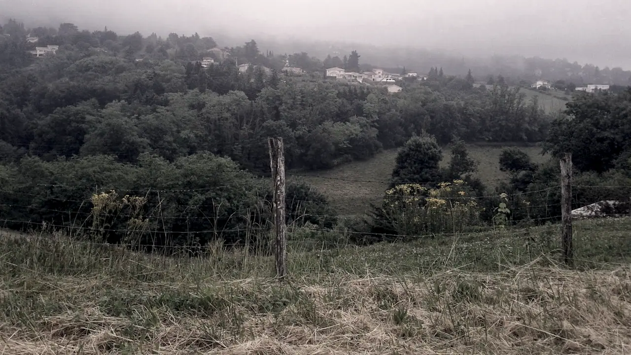 Coteau boisé des Monts d'Or noyé dans la brume, avec quelques maisons parmi les arbres, une clôture de piquets et des fleurs jaunes au premier plan.