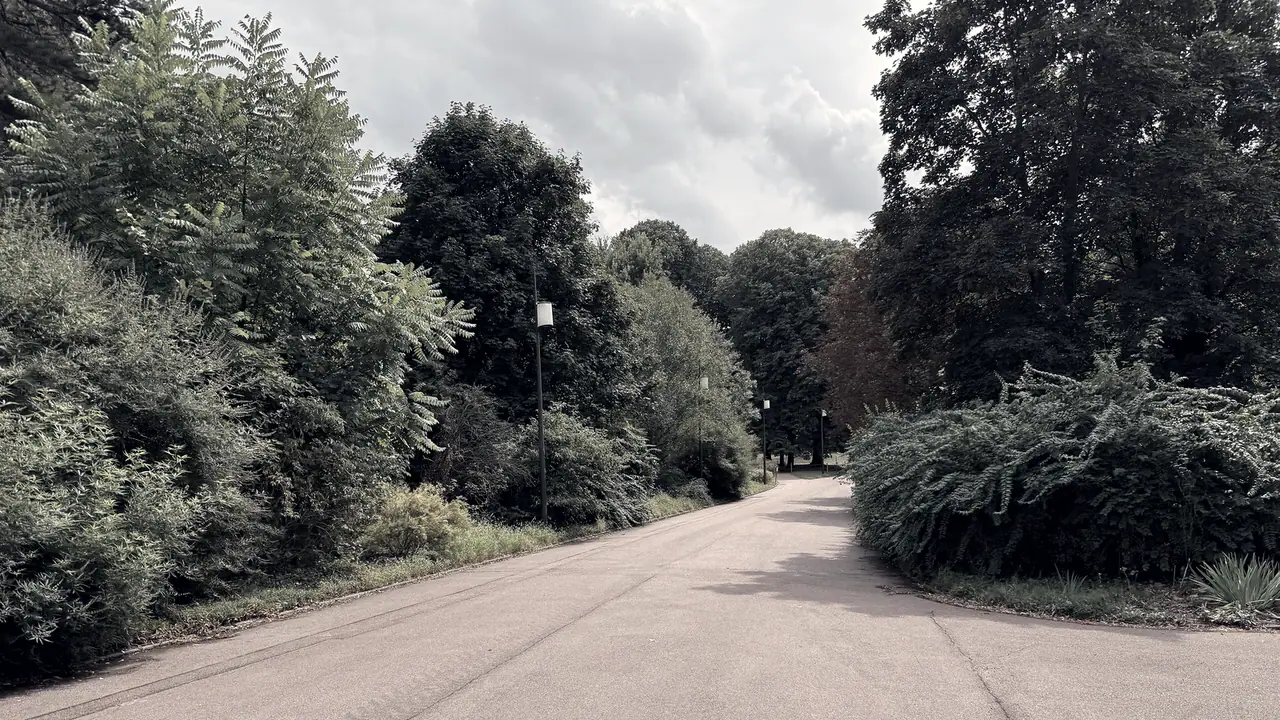 Allée de parc déserte bordée de massifs et de grands arbres, avec ses lampadaires plantés le long du chemin.