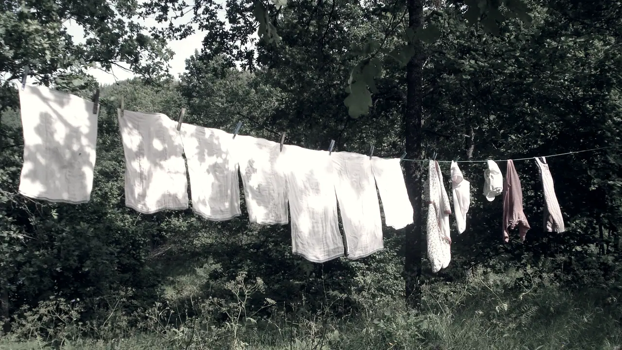 Langes de coton blancs et petits vêtements d'enfant pincés sur une corde à linge, qui sèchent au soleil entre les arbres d'un sous-bois.