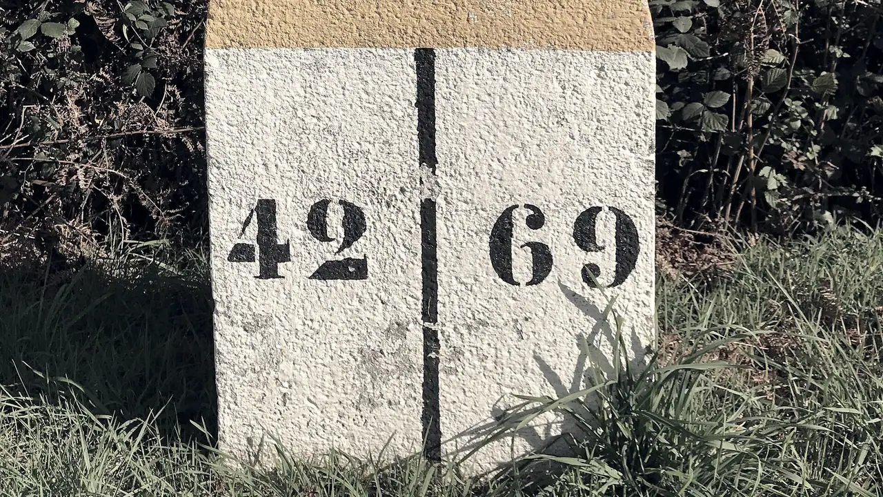 Gros plan sur une borne de limite départementale plantée dans l'herbe devant une haie de ronces, sa face peinte partagée par un trait vertical entre « 42 » et « 69 ».