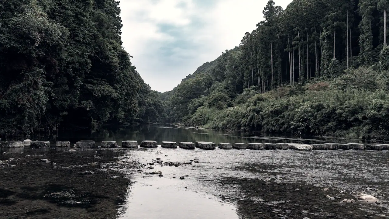 Rangée de pierres de gué alignées d'une rive à l'autre d'une rivière calme, entre deux versants boisés, sous un ciel voilé.