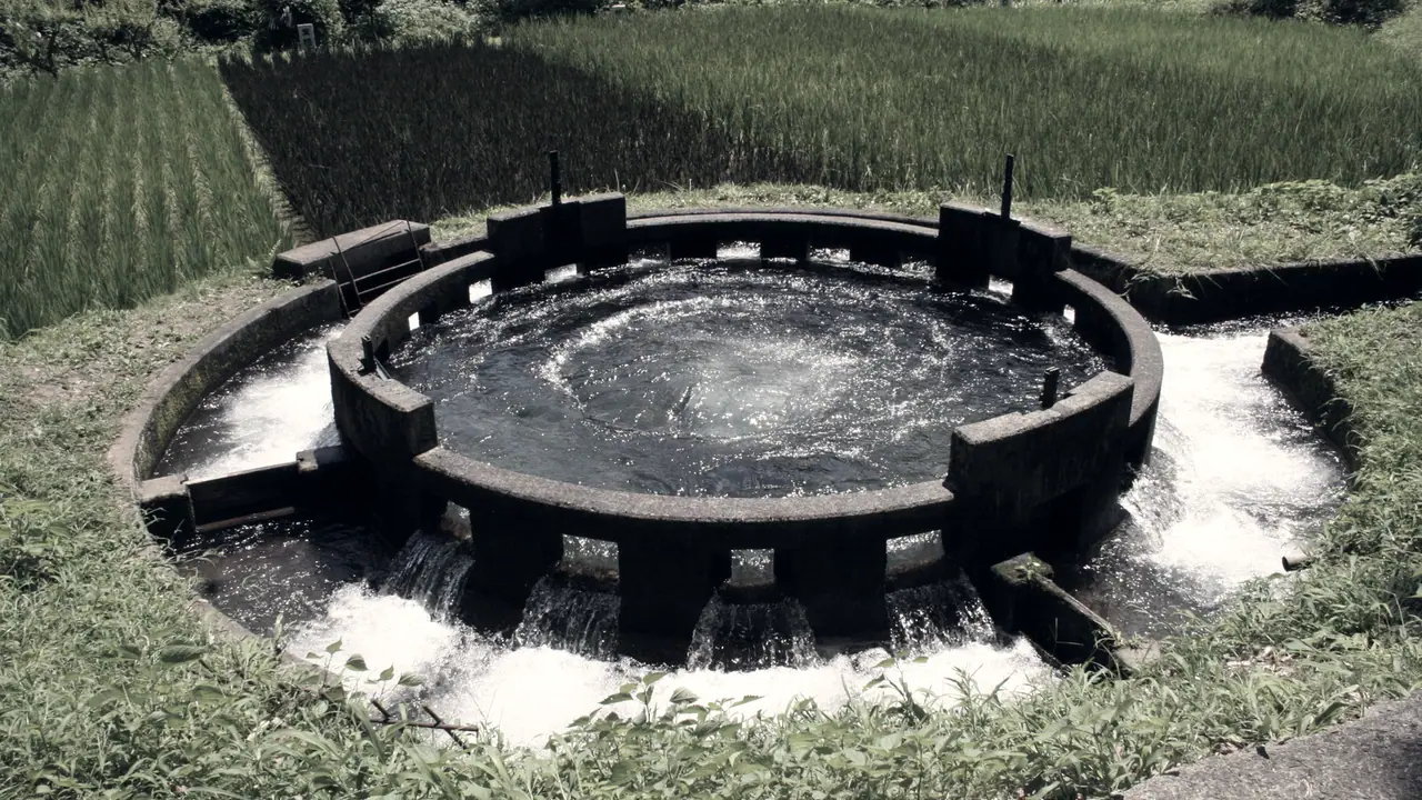 Répartiteur d'eau circulaire au bord des rizières : l'eau qui jaillit au centre du bassin déborde par une rangée d'ouvertures et se partage entre plusieurs canaux.