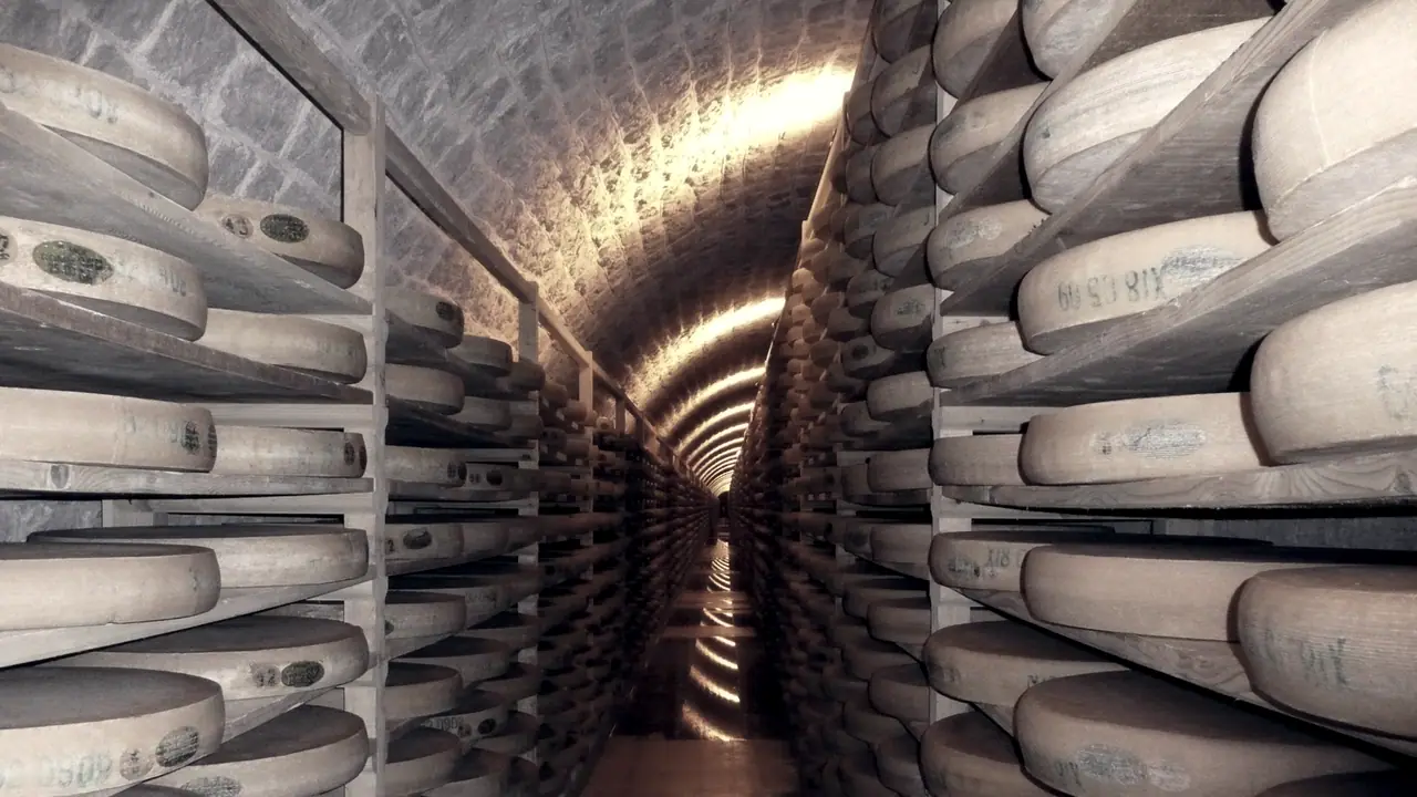 Galerie voûtée d'une cave d'affinage, bordée jusqu'au fond d'étagères de bois où des centaines de meules de comté attendent leur tour.