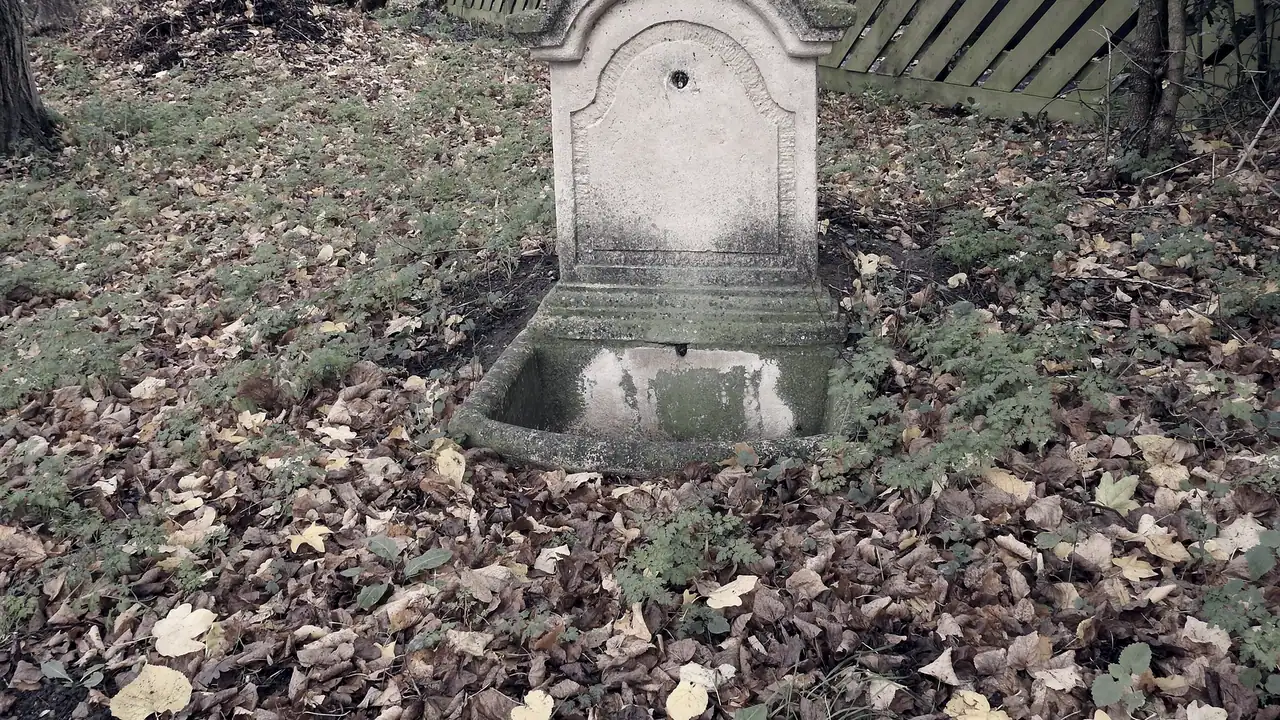 Fontaine murale en pierre dans un sous-bois, sa vasque remplie d'eau et des feuilles mortes tout autour au sol.