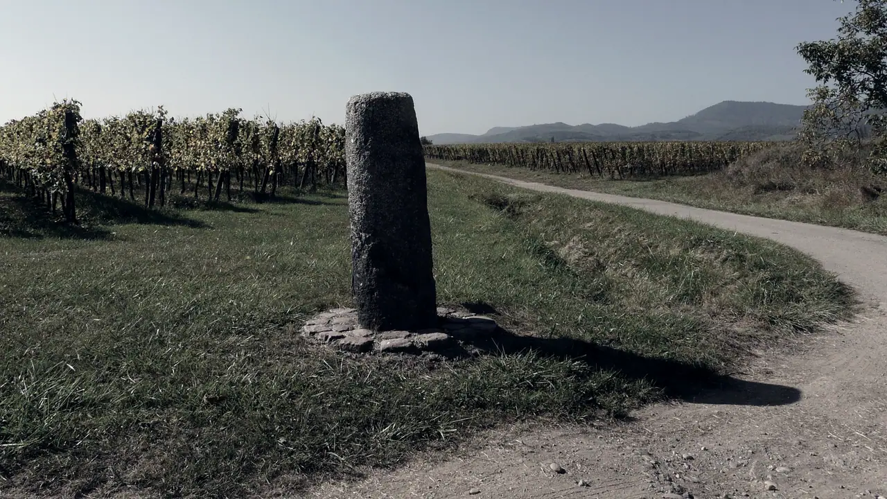 Borne milliaire romaine au bord d'un chemin de terre qui longe les vignes, sa pierre usée sans inscription lisible, avec des collines au fond.