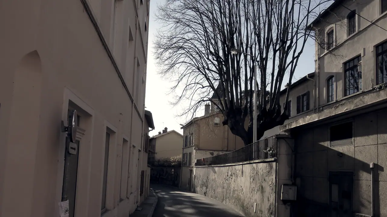 Ruelle étroite en pente descendant entre des façades anciennes et un mur de soutènement, un arbre nu dressé au-dessus du virage.