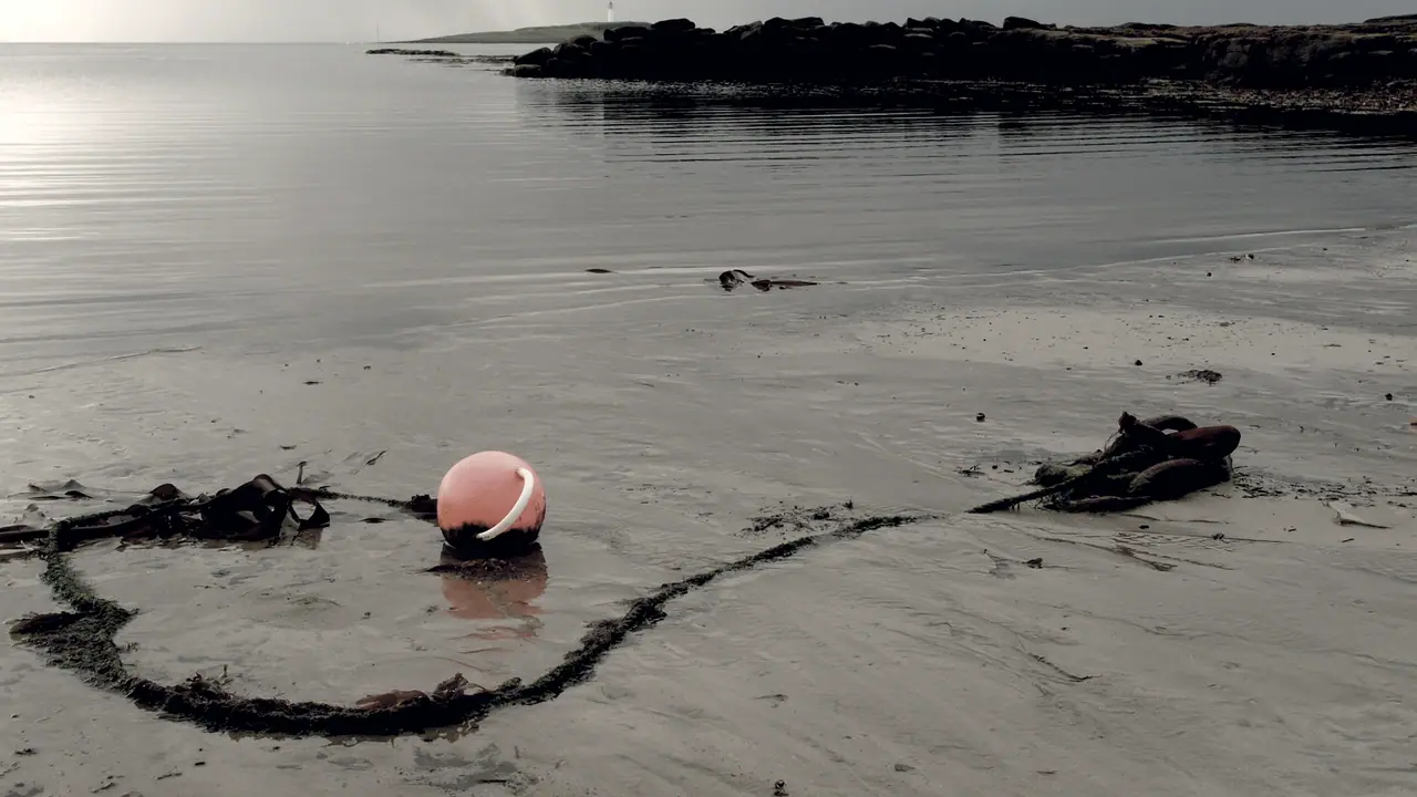 Bouée de mouillage posée sur le sable à marée basse, reliée à son corps-mort par une chaîne couverte d'algues qui serpente sur la plage.