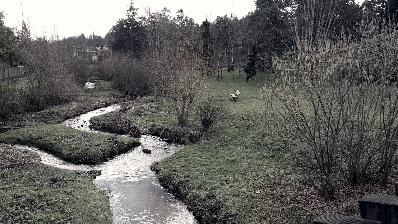 Ruisseau de Charbonnières serpentant dans l'herbe d'un parc, entre des arbustes sans feuilles, avec un banc sur la pelouse et un rideau de grands arbres au fond.