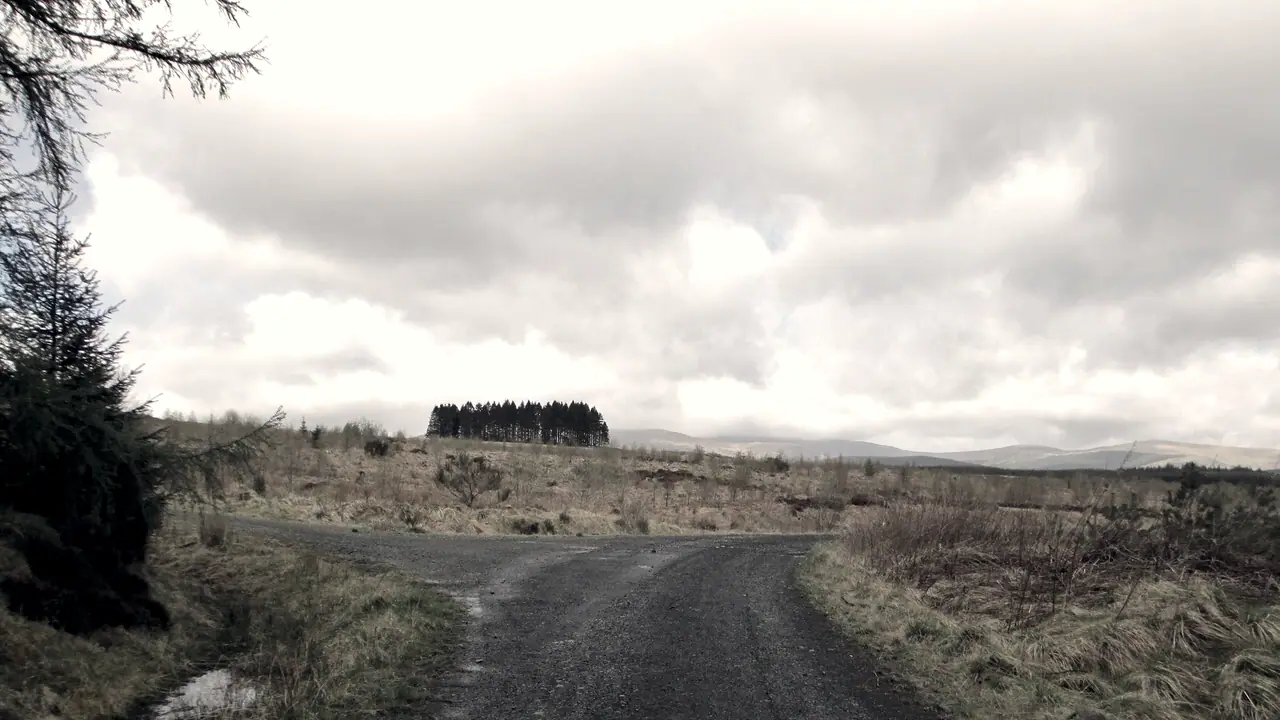 Piste de gravier qui se sépare en deux branches au milieu d'une lande, sous un ciel nuageux, avec la lisière d'un bois sur la gauche et des collines au loin.