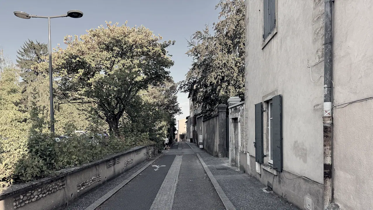 Rue étroite de Sainte-Foy-lès-Lyon : une bande cyclable longe un muret de pierre à gauche et des maisons aux volets sombres à droite, sous de grands arbres.