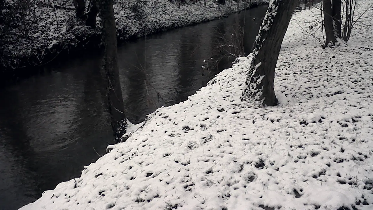 Rivière sombre coulant entre deux berges couvertes de neige, sous des arbres nus dont un tronc penche vers l'eau.