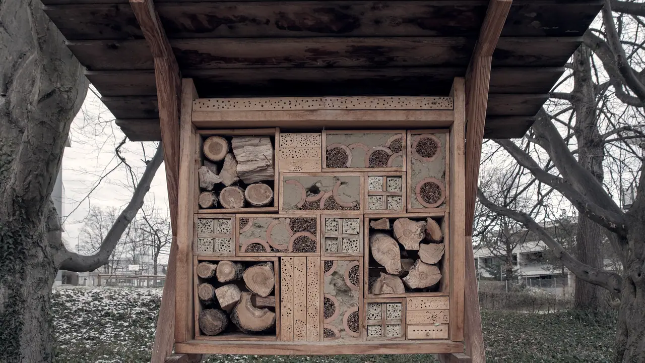 Hôtel à insectes en bois sous un toit de planches : des casiers de tailles différentes garnis de bûches, de blocs percés et de briques alvéolées, entre des arbres nus.