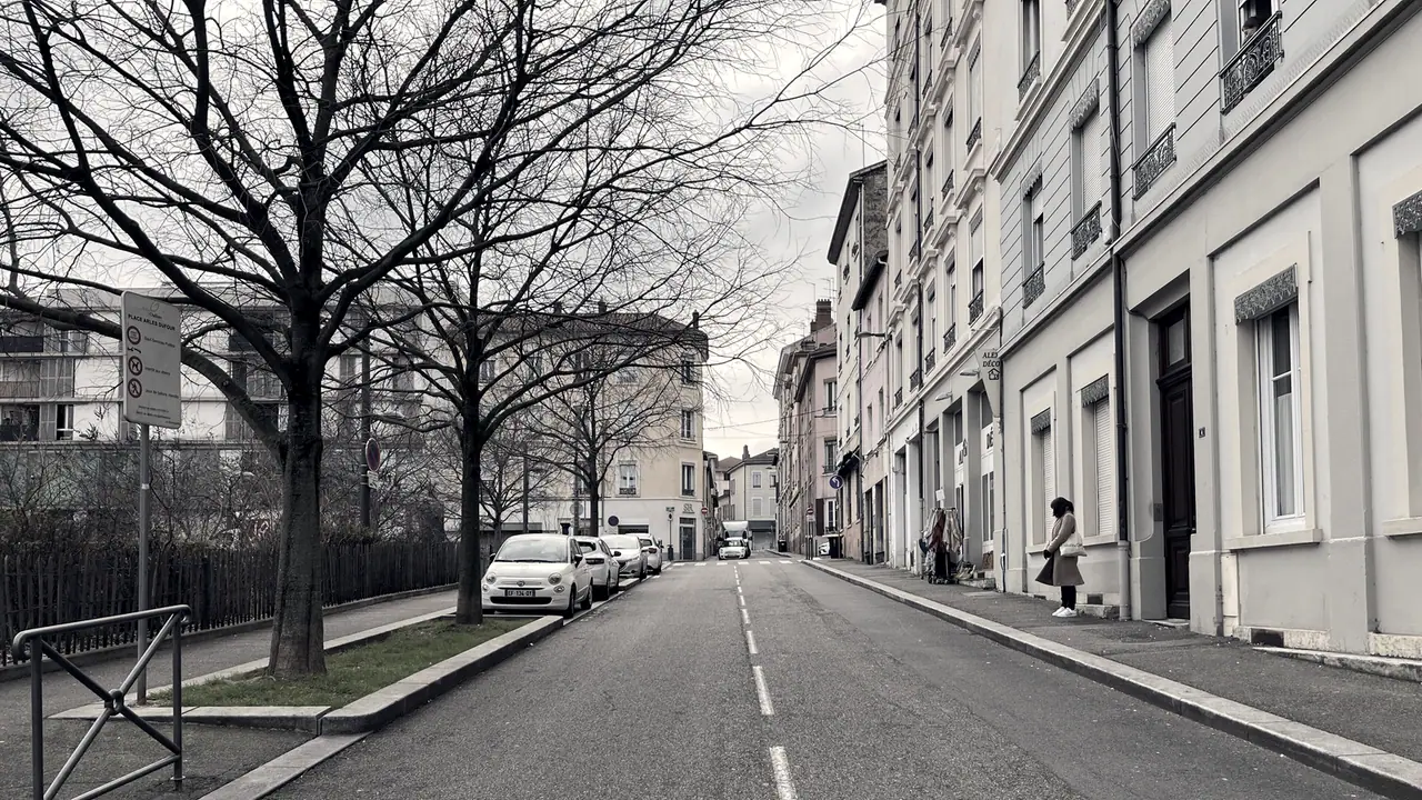 Rue bordée d'arbres dénudés et de voitures stationnées, avec des immeubles à balcons sur la droite et une passante sur le trottoir.