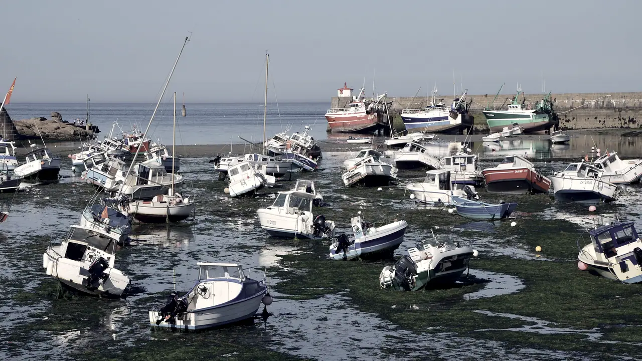 Port à marée basse : des dizaines de bateaux de pêche et de plaisance posés de travers sur les algues, la mer retirée au loin derrière la jetée.
