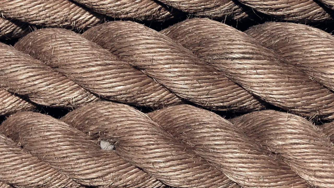 Gros plan sur des cordages épais posés côte à côte : dans chacun, plusieurs torons de fibres sont tordus ensemble pour ne former qu'une seule corde.