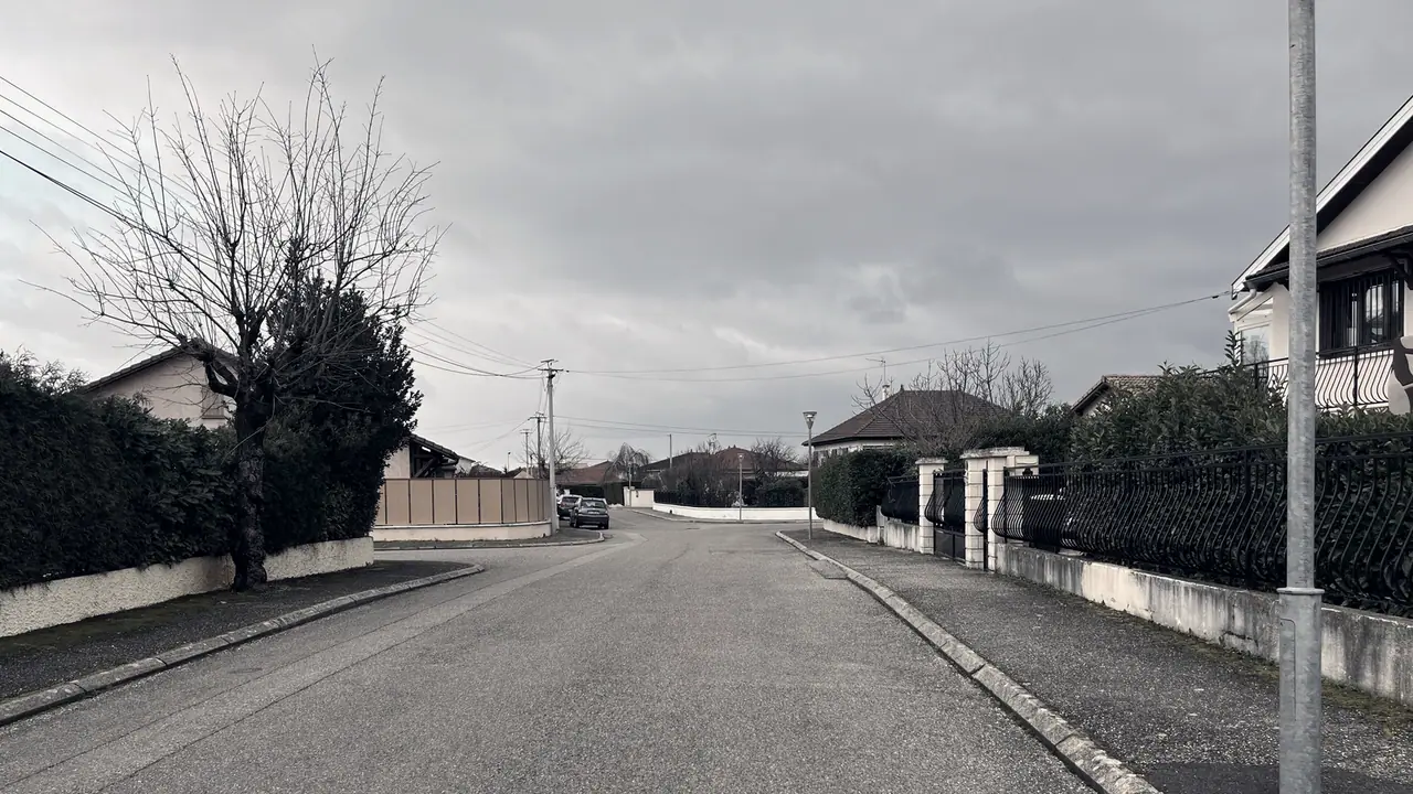 Rue résidentielle de pavillons, avec haies, portails en fer et un arbre nu au bord de la chaussée sous un ciel couvert.