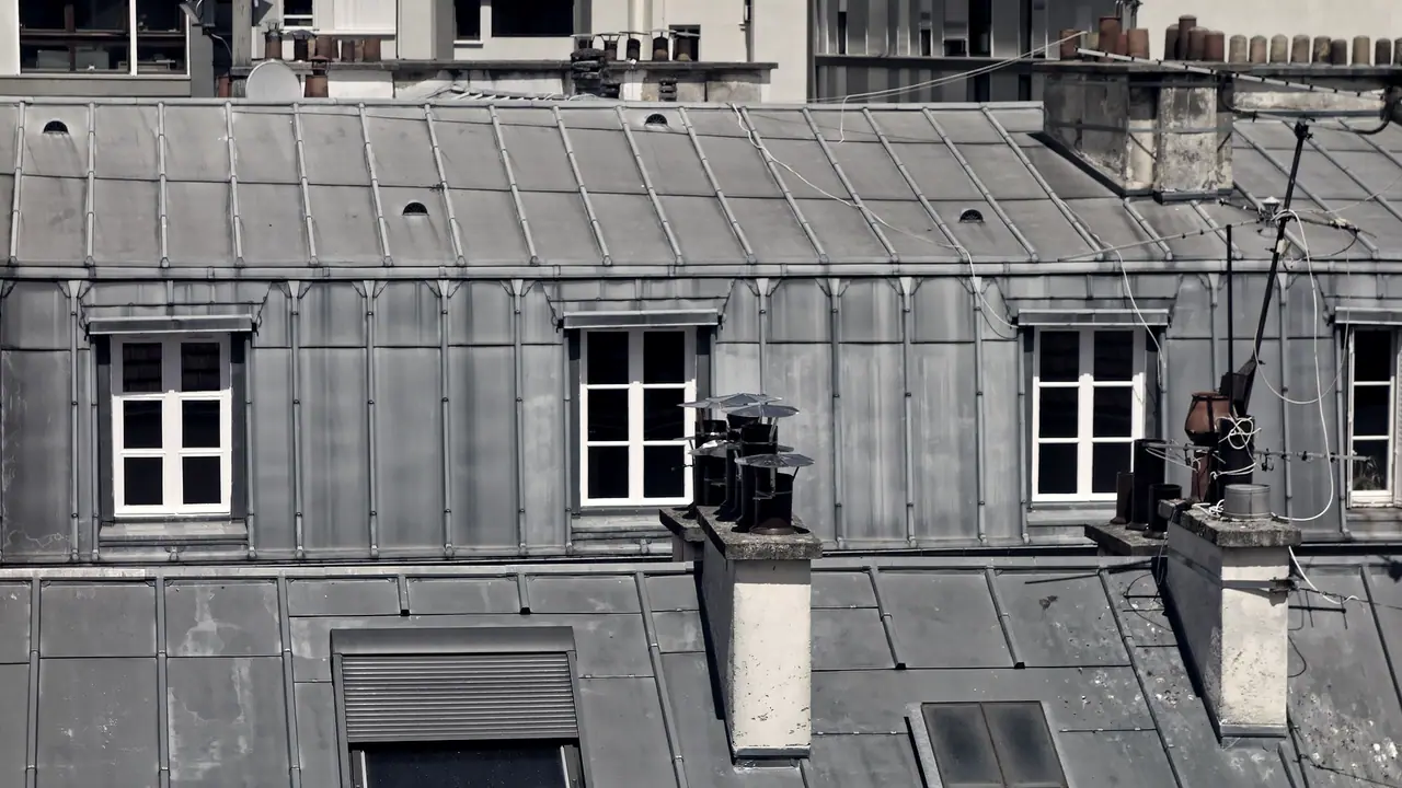Toitures de zinc d'immeubles anciens, avec leurs lucarnes aux fenêtres blanches, un châssis de toit et des souches de cheminée coiffées de mitrons et de chapeaux de métal.