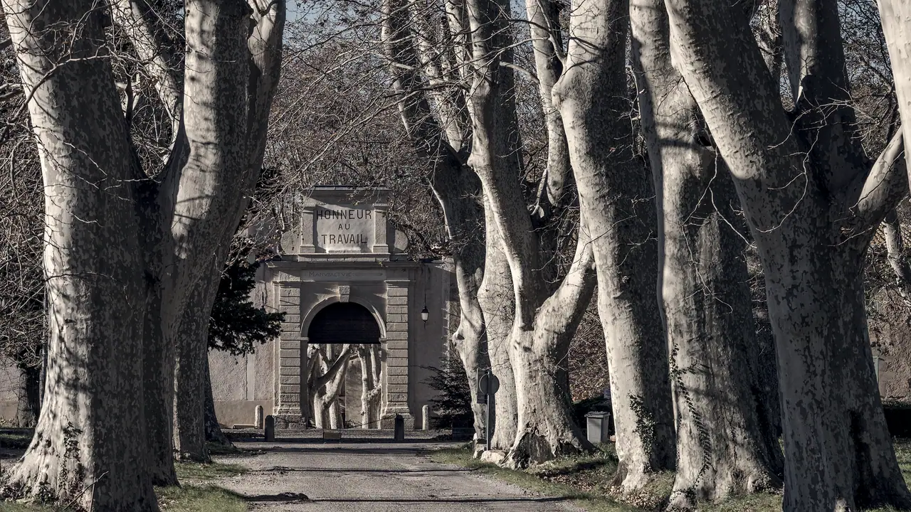 Longue allée bordée de grands platanes aux troncs écaillés, qui mène à une porte monumentale de pierre surmontée de l'inscription « Honneur au travail ».