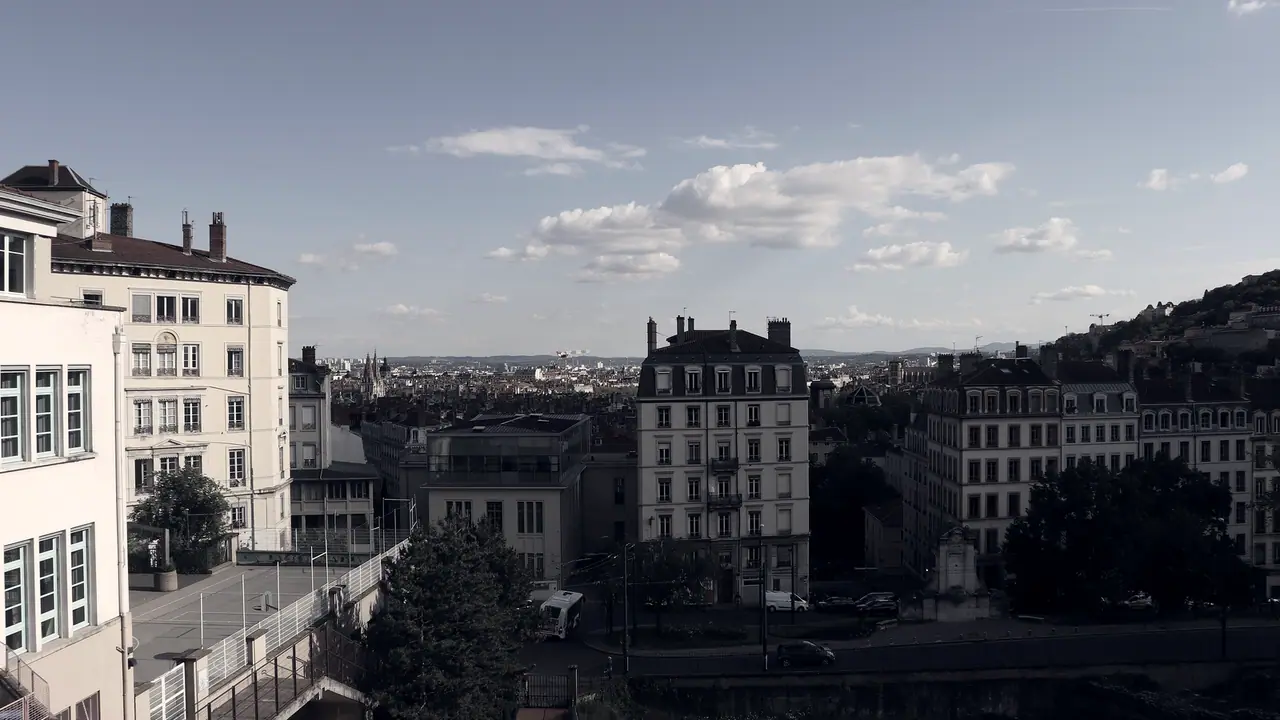 Vue sur la ville depuis les hauteurs : des immeubles anciens de cinq ou six étages au premier plan, une étendue de toits derrière eux et une colline boisée à droite.
